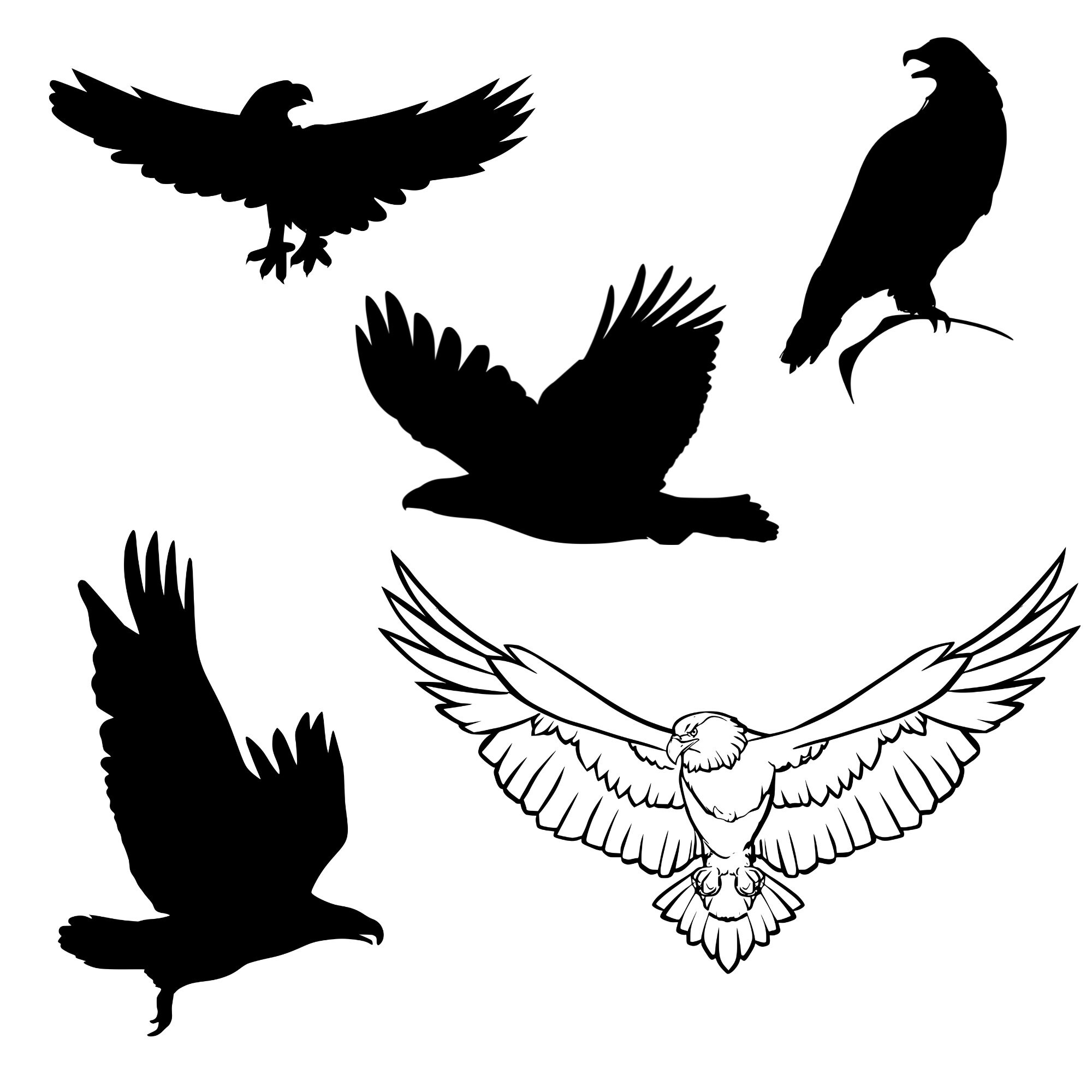 45 Eagles SVG Bundle Bald Eagle Svg Bundle Bird Svg Bundle - Etsy Israel