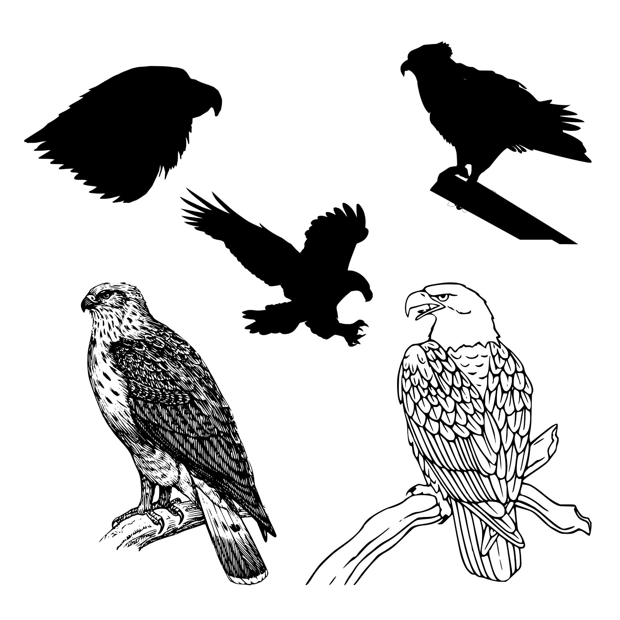 45 Eagles SVG Bundle Bald Eagle Svg Bundle Bird Svg Bundle - Etsy Israel
