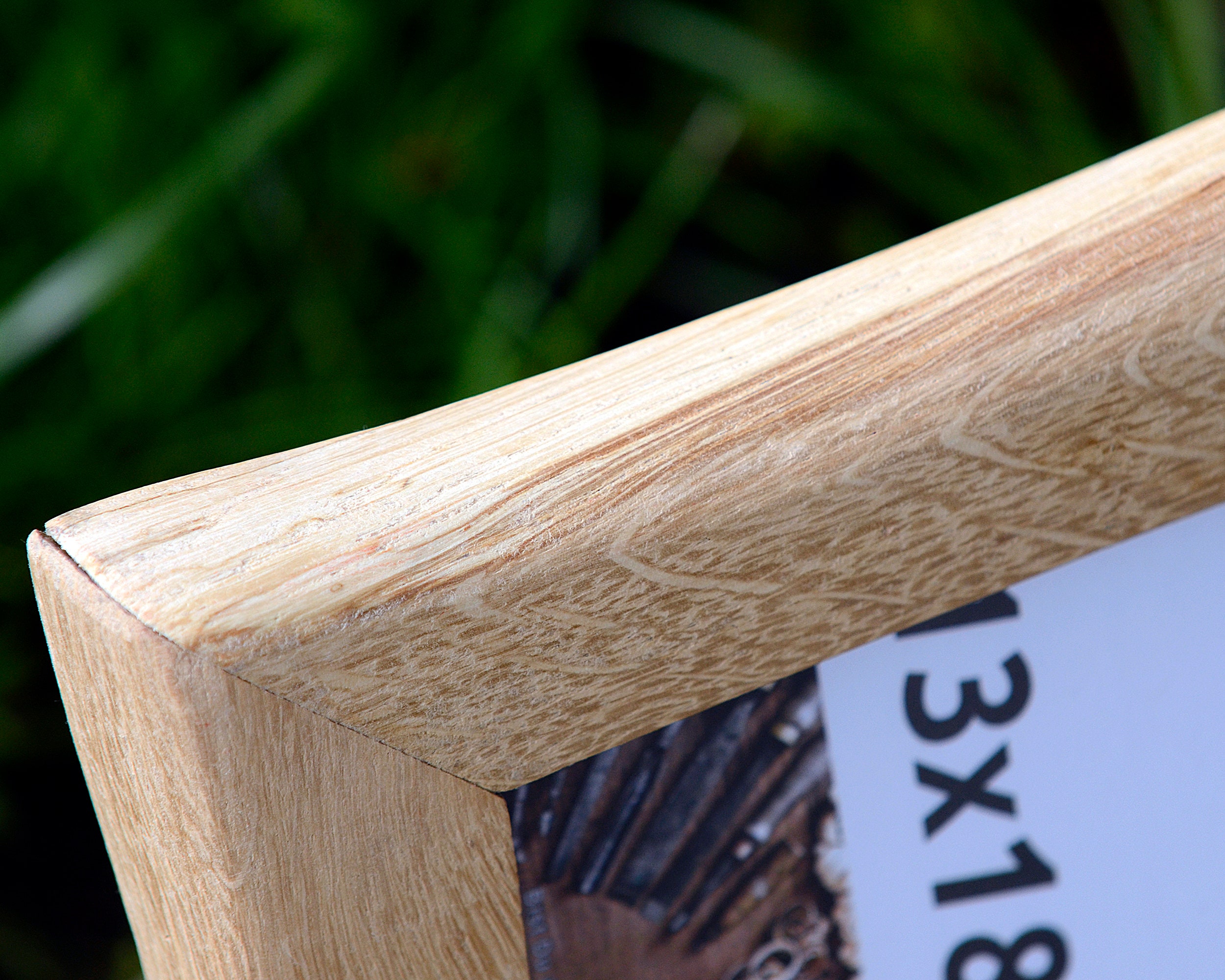 Bilderrahmen Wildeiche: A Drawing Adventure for Young Artists