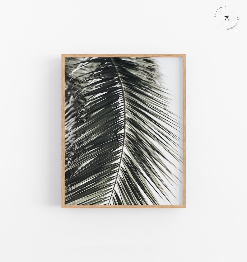 Set of 3 Prints Boho Beach Gallery Wall Set Beach Prints Etsy