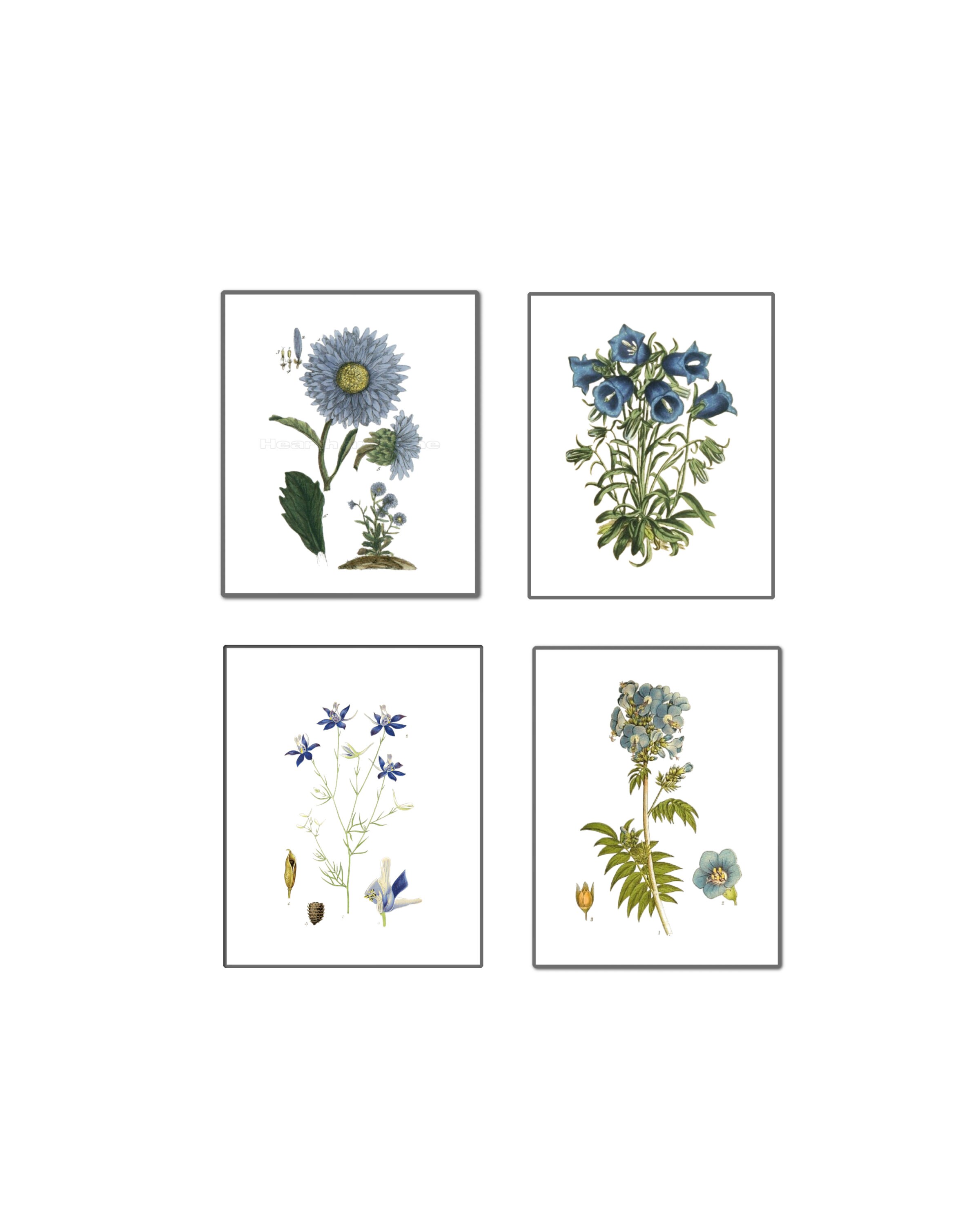 Set of 4 Blue Flower Botanical Prints Digital Download Art | Etsy