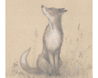 Fox, Open Edition Fox  Print, by Vic Bearcroft, Fox Print, Fox Art