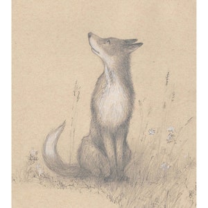 Fox, Open Edition Fox  Print, by Vic Bearcroft, Fox Print, Fox Art