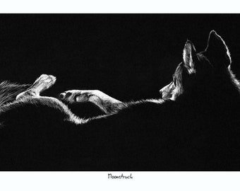 Moonstruck, Open Edition Siberian Husky Print, by Vic Bearcroft