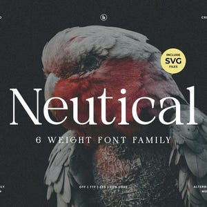 Modern Serif Font, Branding font, Embroidery Font, SVG Font, Boho font, Procreate Font, Cricut Font, Canva fonts, Cursive Font, Retro Font