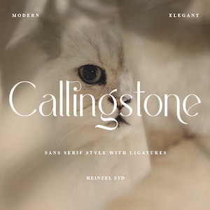 Callingstone - Sans Serif Font, Canva Font, Cricut Fonts, Wedding Font, Logo Font, Modern Font, Branding Font, Planner Font, Procreate Fonts