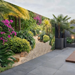 Puede incluir: Una exuberante escena de jardín con un camino de grava que serpentea a través de una vegetación vibrante y plantas con flores. Palmeras en macetas cuadradas y una cascada se suman al tranquilo espacio al aire libre. El patio está pavimentado con baldosas grises.