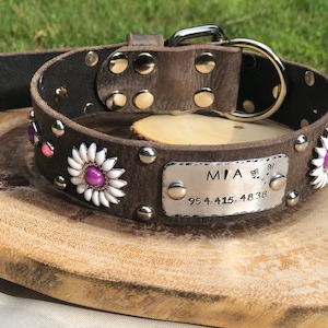 Daisy Trendy Girly Leather Dog Collar, Personalized Nickel Stamped Nameplate in Purple & Pink Flower Female Collar, ,1.5” Inch for Large Dog