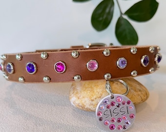 May include: A brown leather pet collar featuring silver-tone metal studs and alternating purple and pink circular crystals. A round silver-tone metal tag is attached, engraved with the name SISSI and decorated with various pink and purple crystals.