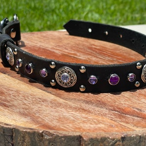 Purple Crystal Leather Dog Collar, Purple Crystals & Florentine Concho Collar, Violet Swarovski, 1&quot; collar for Medium Size Dog, girl dog