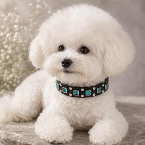 Luxury Leather Small Dog Collar, Turquoise Square Crystal Collar, Custom Designer Dog Collar – 3/4” Wide image 2