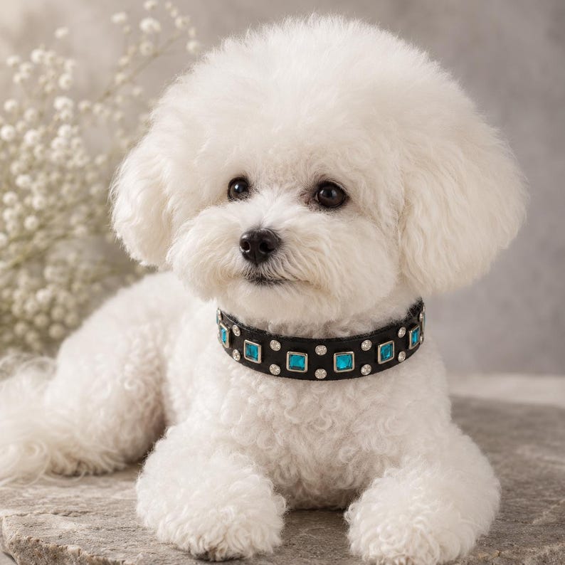 Luxury Leather Small Dog Collar, Turquoise Square Crystal Collar, Custom Designer Dog Collar – 3/4” Wide image 2