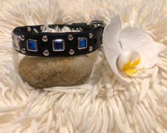 May include: Black leather dog collar with silver studs and blue rhinestones. The collar has a silver buckle and a name tag that says "Boss".