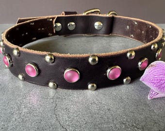 May include: A dark brown leather dog collar with silver studs and pink gemstone accents. The collar has a brass buckle and is designed for a pet. The collar is a fashionable accessory.
