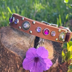 Pode incluir: Um colar de cachorro de couro marrom com tachas prateadas e pedras preciosas coloridas. O colar tem uma fivela prateada e um círculo prateado decorativo com um strass transparente no centro.