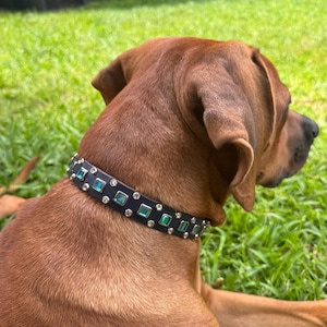 May include: A dark-colored dog collar featuring a series of alternating square-cut teal gemstones and small, round, clear crystals set in a metallic frame, worn around the neck of a brown dog with short fur.