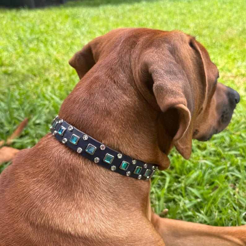 May include: A dark-colored dog collar featuring a series of alternating square-cut teal gemstones and small, round, clear crystals set in a metallic frame, worn around the neck of a brown dog with short fur.