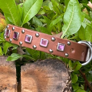 Personalized Leather Dog Collar Jeweled collar,dog collar & nameplate, Custom dog collar,Rustic leather collar, Pink Square Rhinestone,3/4