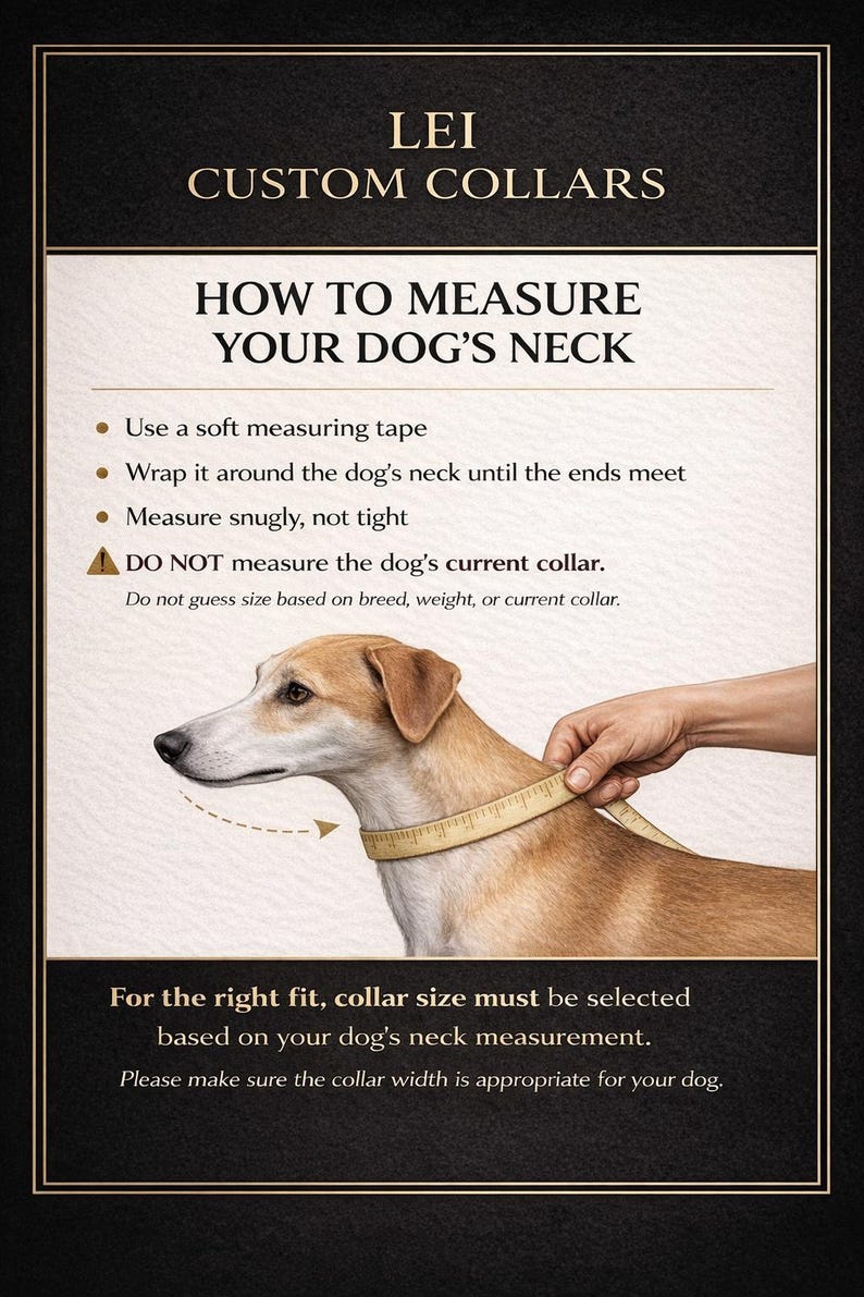 May include: An instructional graphic titled LEI CUSTOM COLLARS showing how to measure a dog's neck. It features a tan and white dog with a soft measuring tape wrapped around its neck, accompanied by text instructions on proper measurement techniques.