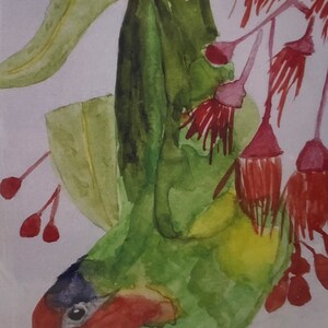 Lorikeet Aquarell Druck Grußkarte