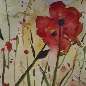 Rote Mohnblumen, Blumen, Blumenaquarell, Karton,