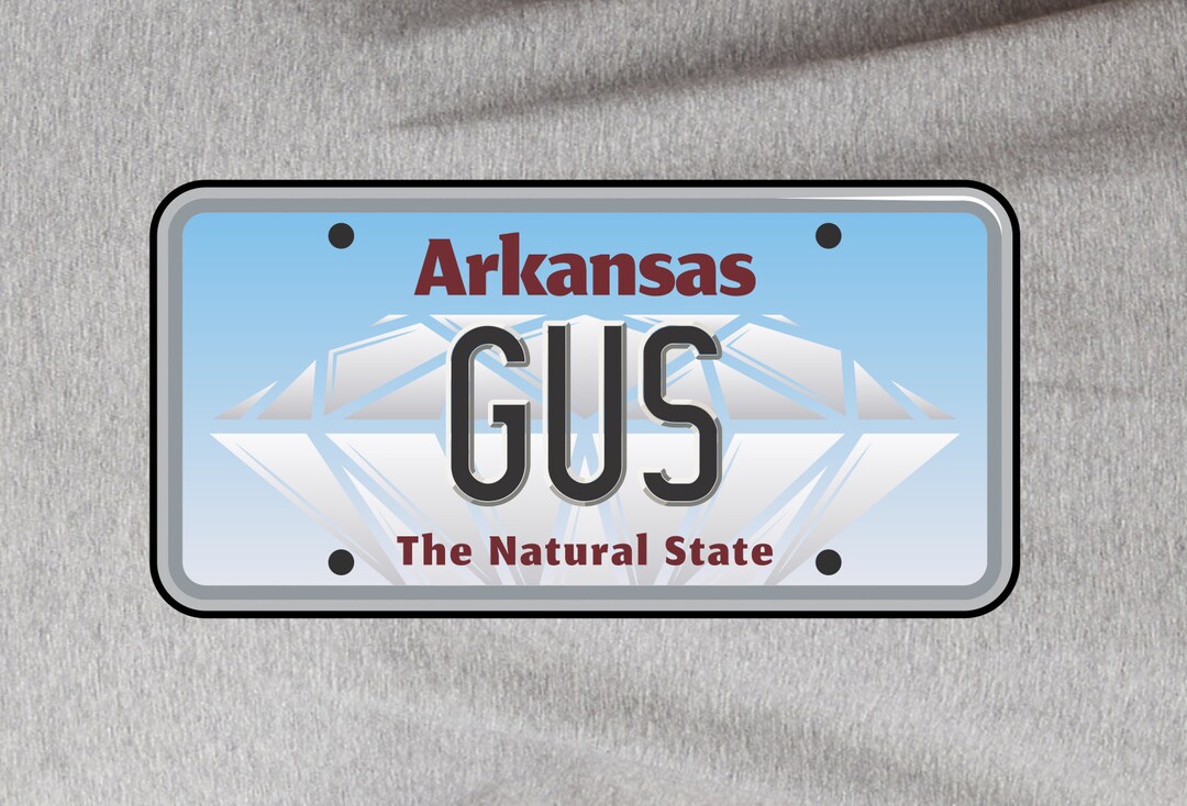 License Plate Tshirt, Custom Name Plate Shirt, Unique Gift, 100