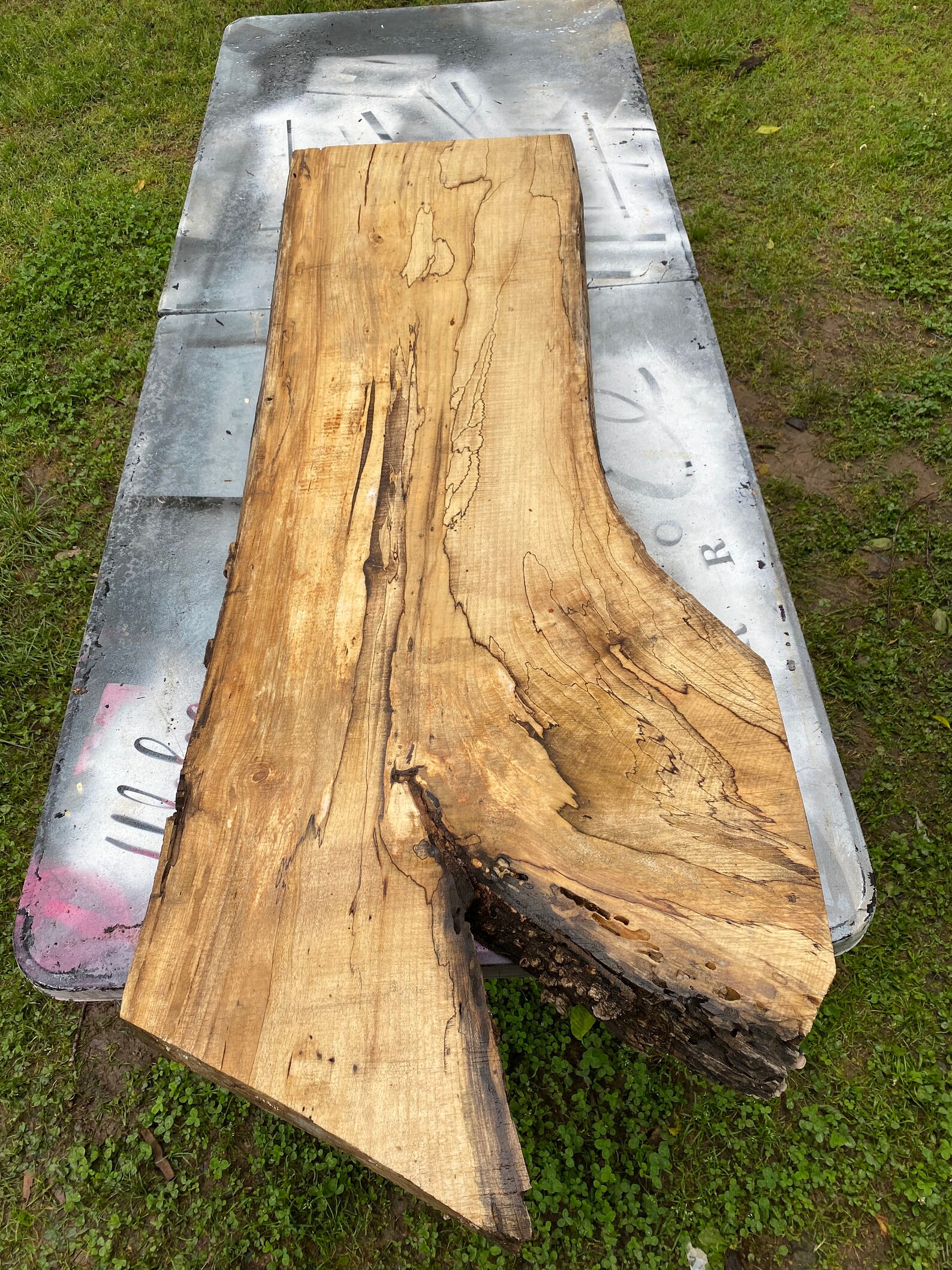 2 Hackberry Slab Highly Spalted Wood Live Edge On Etsy