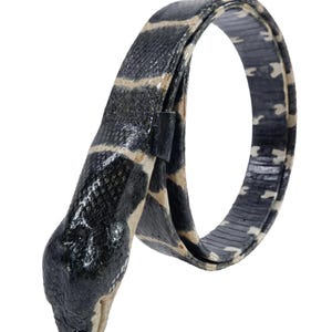 May include: A belt designed to resemble a snake, featuring a textured black and cream-coloured pattern. The belt includes a sculpted snake head at one end and a loop, with a continuous scaled appearance throughout the length of the accessory.
