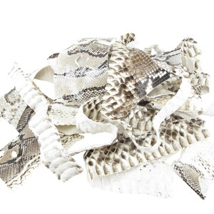 Genuine Python Snake Skin Leather Scraps Hide Pelt 100 grams