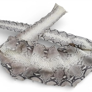 Puede incluir: Una tira larga y flexible de piel de serpiente auténtica con un patrón de escamas natural en tonos blanco roto, gris claro y gris oscuro. El material muestra una superficie texturizada con una cresta central distintiva y escamas.