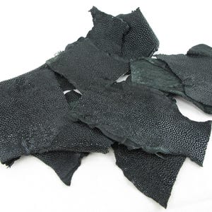 Puede incluir: Un conjunto de retazos de cuero de raya negro con formas irregulares, que presentan una textura granulada y rugosa característica en la superficie de cada pieza. El material tiene un acabado mate con variaciones visibles en el tamaño.