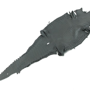 May include: A dark grey, flat, tanned alligator hide featuring a distinct, textured scale pattern across the entire surface. The skin retains the natural shape of the animal, including the tapered tail section and the wider body area with edges.