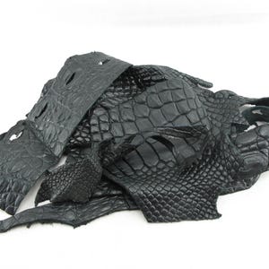 Genuine Alligator Skin Leather Scraps Hide Pelt 100 grams