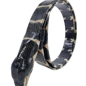 Puede incluir: Un cinturón enrollado diseñado para parecer una serpiente, con un patrón texturizado en negro y crema. El cinturón incluye una cabeza de serpiente esculpida en un extremo con un acabado brillante, y el cuerpo forma un bucle continuo.