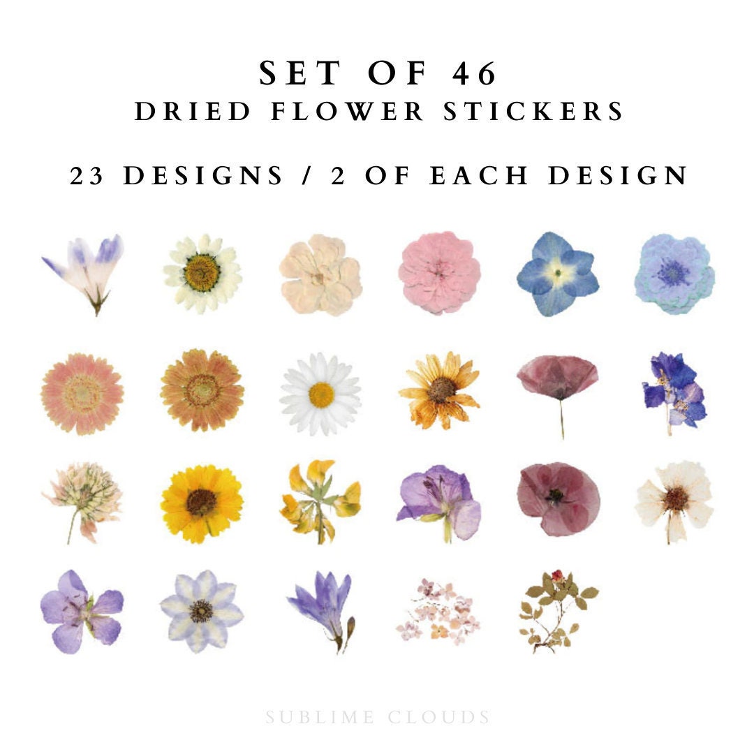 Bullet Journal Stickers Dried Flower Stickers Pressed Flower Etsy