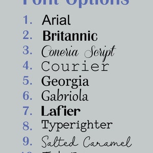 K&ouml;nnte beinhalten: Auf hellgrauem Hintergrund stehen die Worte "Font Options" in Blau. Darunter sind zehn Schriftarten aufgelistet, nummeriert von 1-10, wobei jeder Schriftname in einem anderen Stil gehalten ist, darunter Arial, Britannic, Coneria Script, Courier, Georgia, Gabriola, Lafier, Typerighter, Salted Caramel und Ink Free.