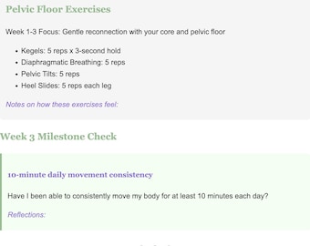 Agenda de remise en forme post-partum de 12 semaines | Traqueur de récupération des naissances naturelles de section C | Modèle de documents Google Sheets | Exercices du plancher pelvien