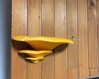 Orange Mushroom Wall Shelf - Rustic Cottage Decor