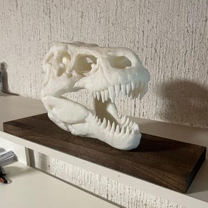 Rex Dinosaur 3D printed skull / tyrannosaurus rex skull replica/ t-rex skull/trex skull/ skull decor, skull replica, dinosaur skull
