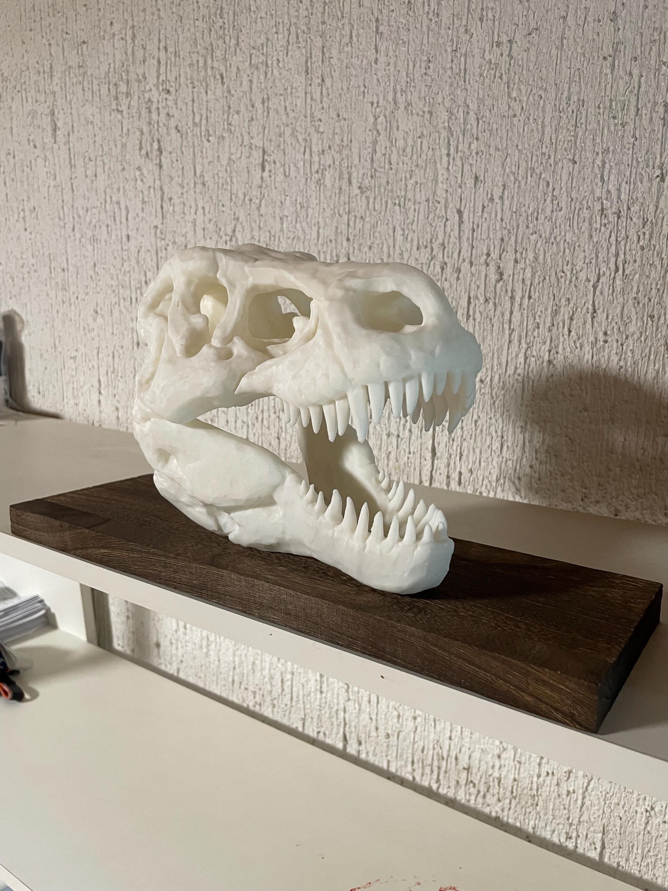 Rex Dinosaur 3D printed skull / tyrannosaurus rex skull replica/ t-rex skull/trex skull/ skull decor, skull replica, dinosaur skull