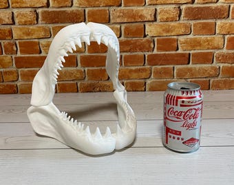 Shark 3d printed skull decor, skull replica