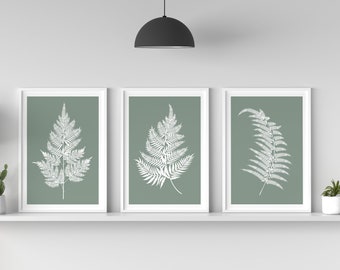 Set of 3 Sage Green Fern Prints, Botanical Fern Leaf Wall Art, Light Sage Green Colour Lounge Prints, Printable Download Available