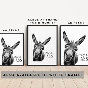 K&ouml;nnte beinhalten: Schwarz-Wei&szlig;-Drucke eines Esels mit dem Text "nice ASS" in Rahmen. Erh&auml;ltlich in A4- und A3-Gr&ouml;&szlig;en sowie als gro&szlig;es A4-Format mit Passepartout. Der Text "ALSO AVAILABLE IN WHITE FRAMES" ist ebenfalls sichtbar.