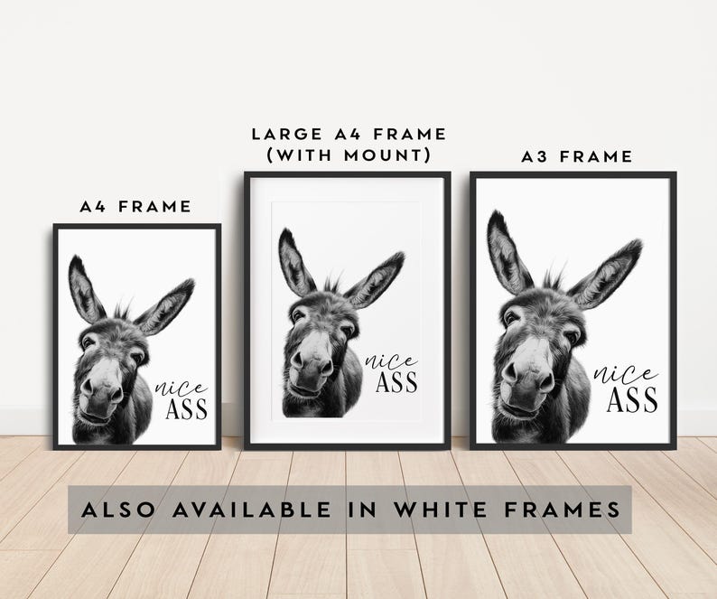 K&ouml;nnte beinhalten: Schwarz-Wei&szlig;-Drucke eines Esels mit dem Text "nice ASS" in Rahmen. Erh&auml;ltlich in A4- und A3-Gr&ouml;&szlig;en sowie als gro&szlig;es A4-Format mit Passepartout. Der Text "ALSO AVAILABLE IN WHITE FRAMES" ist ebenfalls sichtbar.