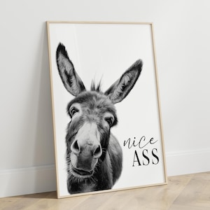 K&ouml;nnte beinhalten: Schwarz-Wei&szlig;-Druck eines Esels mit dem Text "nice ASS". Der Esel hat gro&szlig;e Ohren und einen freundlichen Gesichtsausdruck. Der Druck ist in einem Holzrahmen und lehnt an einer wei&szlig;en Wand.