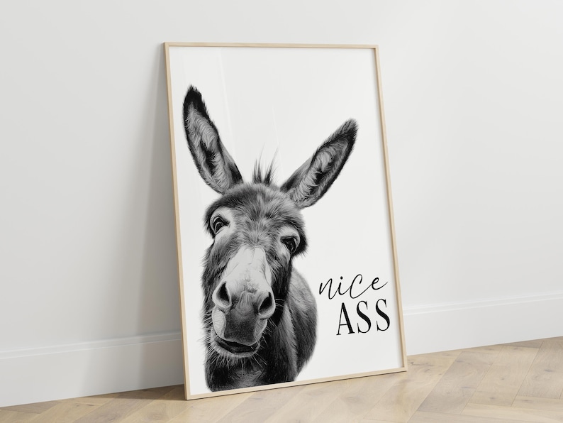 K&ouml;nnte beinhalten: Schwarz-Wei&szlig;-Druck eines Esels mit dem Text "nice ASS". Der Esel hat gro&szlig;e Ohren und einen freundlichen Gesichtsausdruck. Der Druck ist in einem Holzrahmen und lehnt an einer wei&szlig;en Wand.