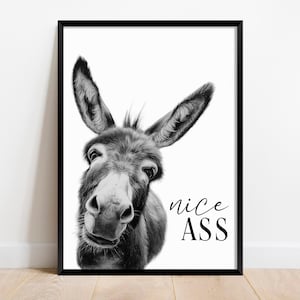 May include: Black and white framed art print featuring a close-up of a donkey's face. The donkey has large ears and a curious expression. The words "nice ASS" are written in a playful font below the donkey's face.
