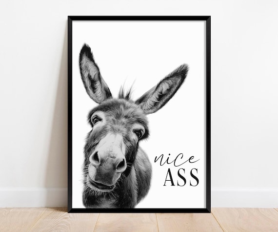 Nice Ass Funny Bathroom Wall art. Donkey Nice Ass Print. Quirky Bathroom Poster. Bathroom Decor. Typography Print. Cheeky Toilet Poster.