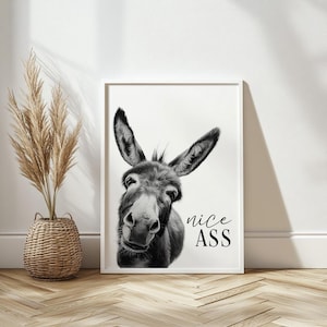 K&ouml;nnte beinhalten: Schwarz-Wei&szlig;-Druck mit einem gerahmten Bild eines Esels, der direkt in die Kamera blickt. Der Text "nice ASS" ist in Schreibschrift geschrieben. Das Bild h&auml;ngt an einer wei&szlig;en Wand, mit einem Korb und getrockneten Pflanzen.