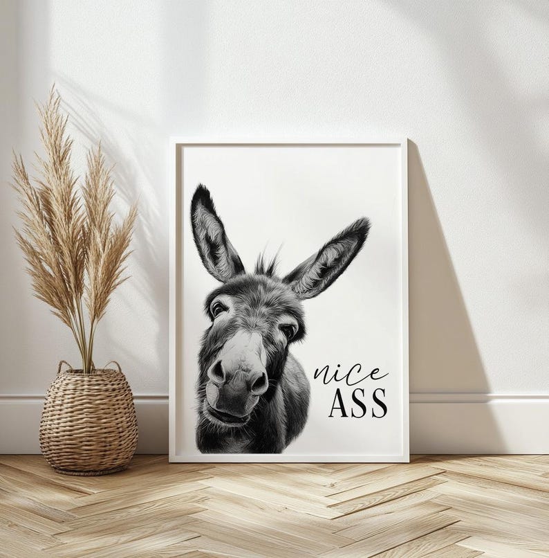 K&ouml;nnte beinhalten: Schwarz-Wei&szlig;-Druck mit einem gerahmten Bild eines Esels, der direkt in die Kamera blickt. Der Text "nice ASS" ist in Schreibschrift geschrieben. Das Bild h&auml;ngt an einer wei&szlig;en Wand, mit einem Korb und getrockneten Pflanzen.